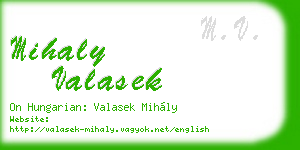 mihaly valasek business card